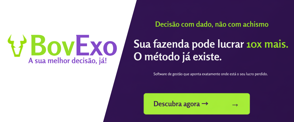 Separar elementos do layout_20260630_213739_0000