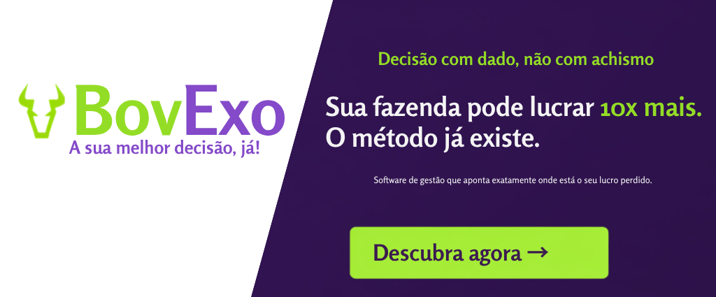 Separar elementos do layout_20260721_191557_0000